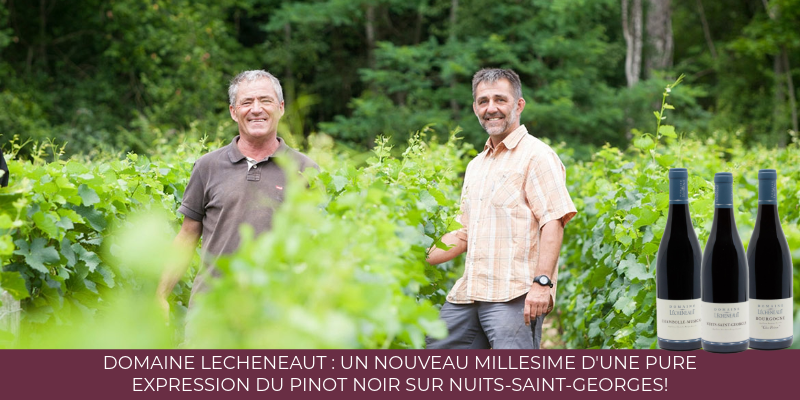 Domaine Lecheneaut : un nouveau millésime d'une pure expression du pinot Noir sur Nuits-Saint-Georges!